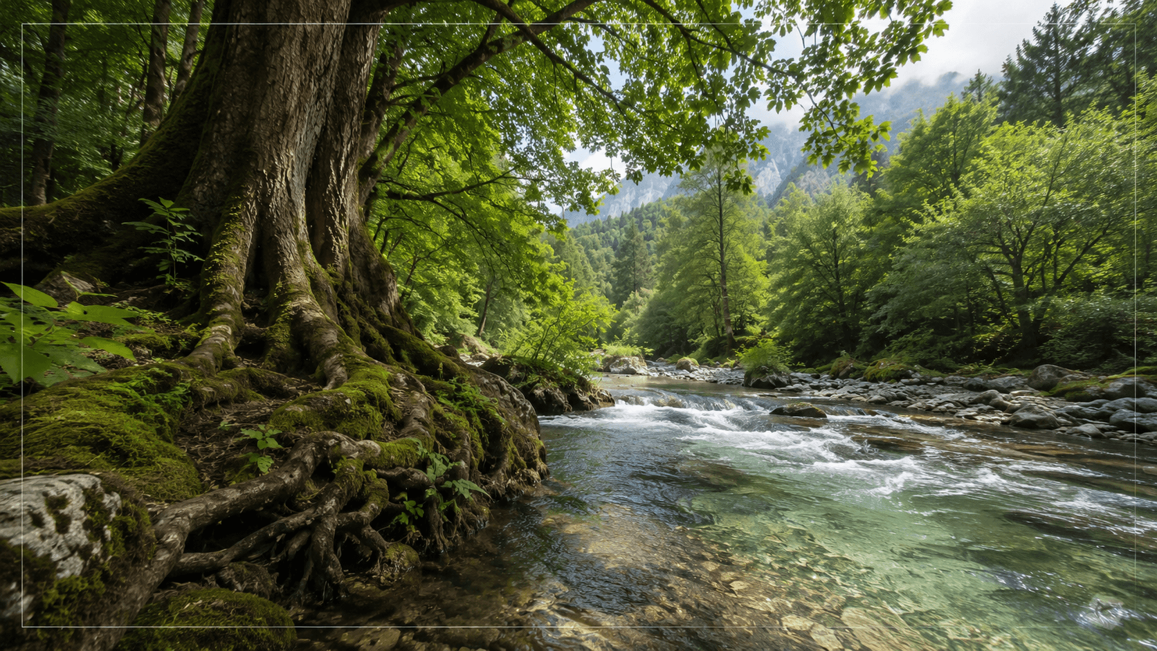 Titelbild: Ruhige Waldlandschaft an einem Fluss als Symbol für Rechte der Natur und ökologische Entscheidungsmaßstäbe.